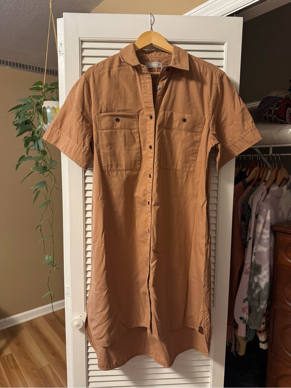 Everlane Button-Up Shirt Dress in Camel Brown